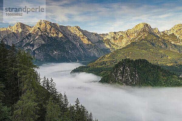 Almsee im Nebel  Totes Gebirge  Almtal  Salzkammergut  Oberösterreich  Österreich  Europa