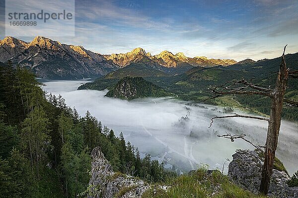 Almsee im Nebel  Totes Gebirge  Almtal  Salzkammergut  Oberösterreich  Österreich  Europa