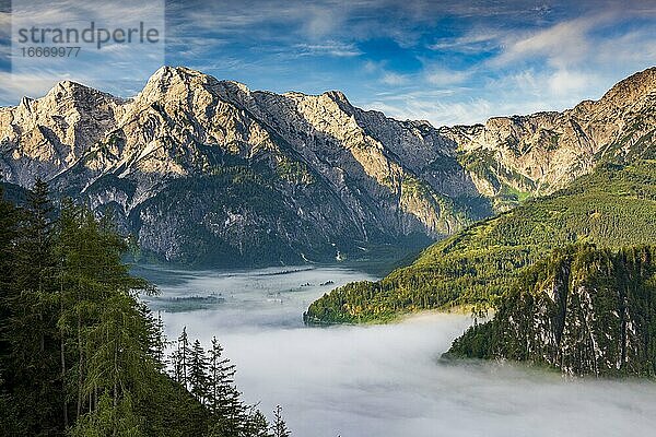 Almsee im Nebel  Totes Gebirge  Almtal  Salzkammergut  Oberösterreich  Österreich  Europa