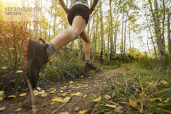 Niedriger Ausschnitt einer Frau  die im Herbst auf einem Pfad im Wald läuft