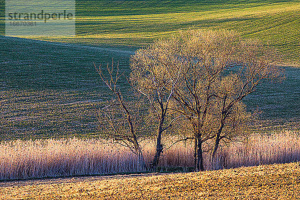 Region Turiec  Slowakei.