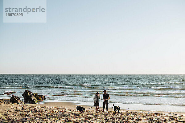 Junges Millennial-Paar mit zwei Hunden am Strand in Portugal  Weitwinkel