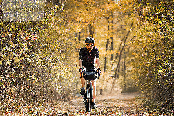 Fahrradtourismus: Ein Mann fährt mit dem Tourenrad durch den Wald. Bi
