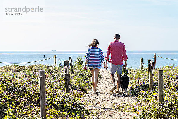Rückenansicht eines jungen Paares  das am Strand mit einem Hund spazieren geht und dabei die Hände hält