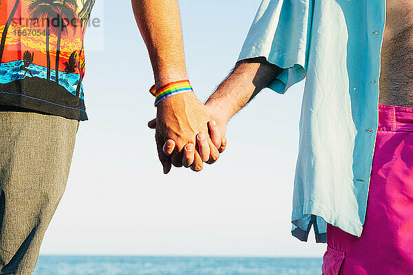 Zwei verliebte Männer  die sich am Strand an den Händen halten  Stockfoto.