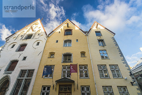 Der Gebäudekomplex der Drei Brüder in der Altstadt von Tallinn