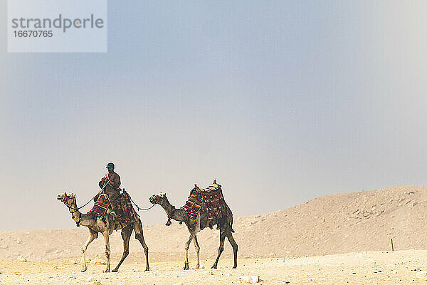 Zwei Kamele wandern durch die Wüste