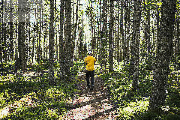 Alleinstehender Mann auf einem Naturpfad an der Küste von Maine