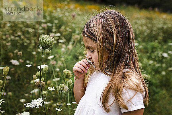 Mädchen riecht an Blumen im Feld