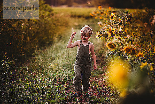 Junges männliches Kind  das lächelnd in einem Sonnenblumenfeld spazieren geht