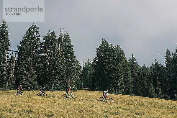 Vier Biker fahren durch eine Wiese am Mt. Hood  Oregon