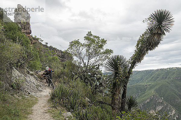 Eine Person fährt mit dem Mountainbike auf einem Trail in einer Schlucht in Peña del Aire