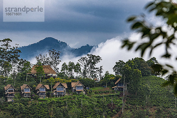 Häuser einer Tee-Lodge oberhalb von Ella in Sri Lanka