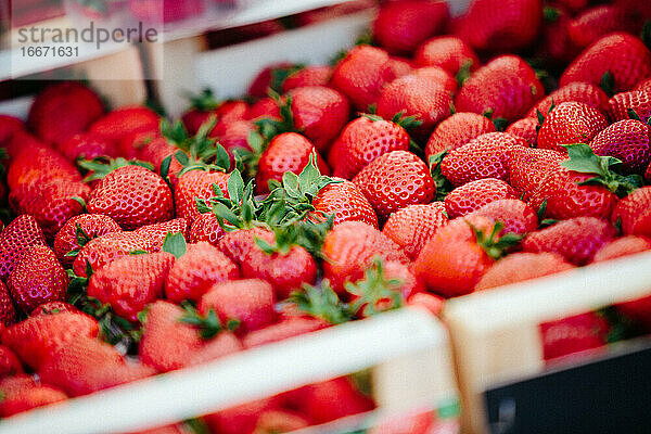 Erdbeeren auf dem Farmers' Market