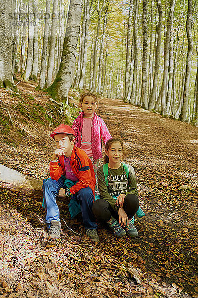 Glückliche Kinder im Wald