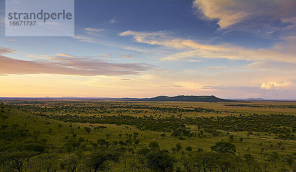 Sonnenuntergang in der Mitte der Serengeti mit einem blau-violetten Himmel