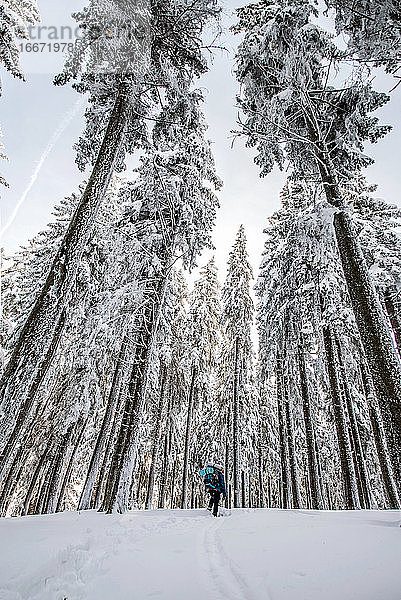 Mann mit Rucksack beim Trekking im verschneiten Wald