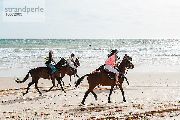 Andalusische Pferde beim Rennen am Strand in Südspanien