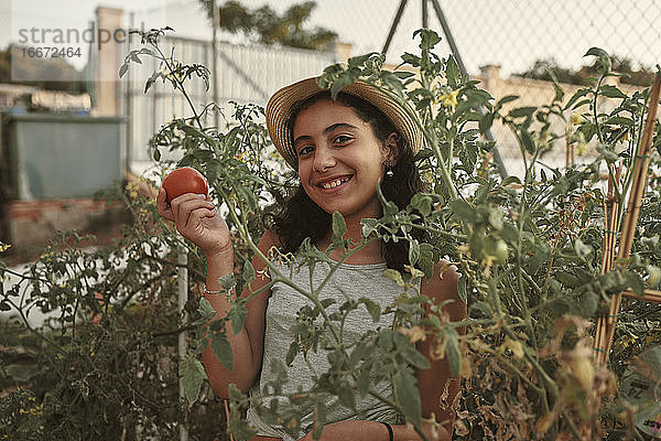 Ein lächelndes Mädchen  das eine gepflückte Tomate aus dem Obstgarten betrachtet.