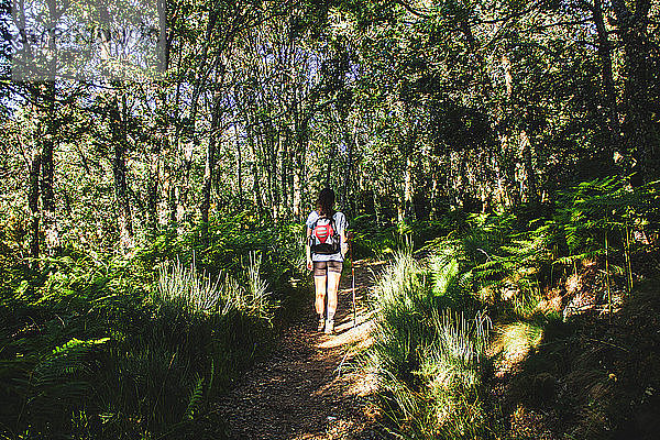 Frau mit Rucksack geht auf einem Pfad mitten im Wald