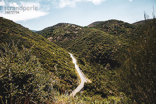 kleine Straße  die die Berge der Kiefernwälder durchquert