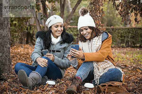 Zwei alte Freundinnen schauen gemeinsam auf den Smartphone-Bildschirm. Nahaufnahme von Zwei alte Freundinnen und der Park Hintergrund im Herbst.