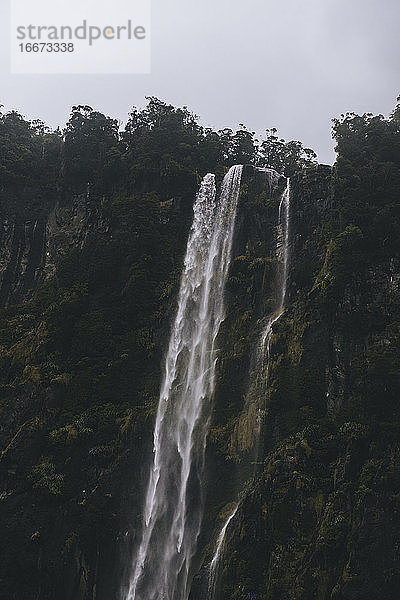 Mächtiger Wasserfall  der den Berg hinunter in den Milford Sound Fjord stürzt  NZ