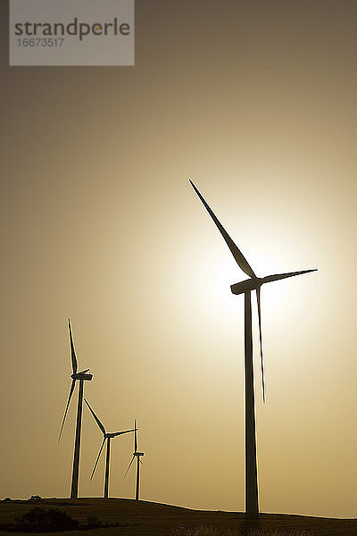Windmühlen zur Stromerzeugung bei Sonnenaufgang.