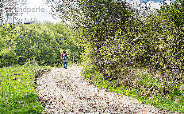 Erwachsener Mann  der zu Fuß wandert  grüner Wald im Frühling