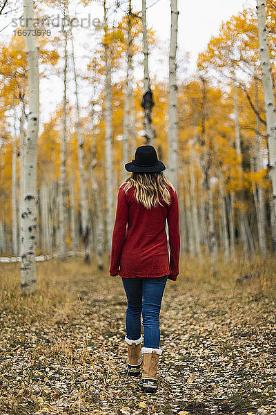 Rückansicht einer Frau beim Spaziergang im Wald im Herbst