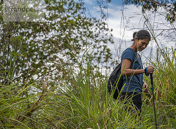 Frau beim Wandern auf dem Adam's Peak in der Nähe von Ella in Sri Lanka