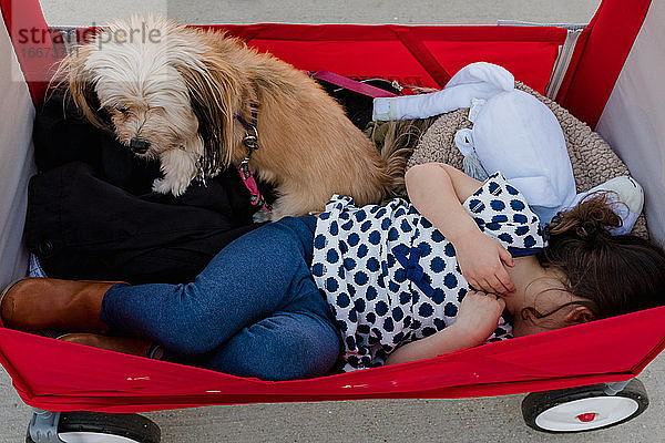 Kleines Mädchen in einem roten Wagen mit einem kleinen Hund