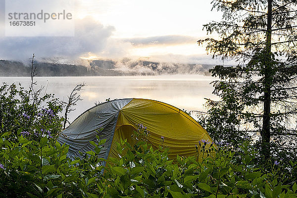 Camping Zelt in der Nähe von Bäumen am Ufer des Sees während des Sonnenaufgangs auf dem Lande