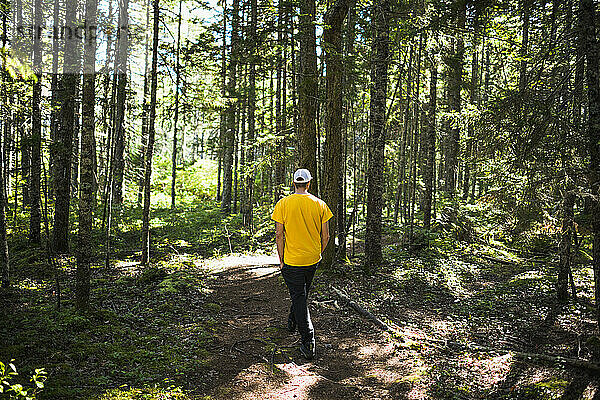 Alleinstehender Mann auf einem Naturpfad an der Küste von Maine