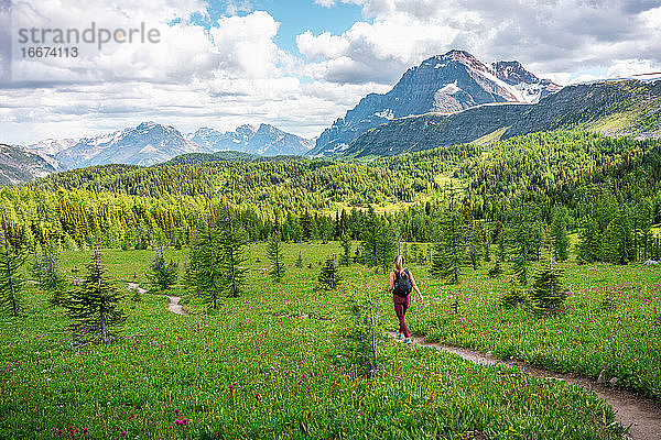 Wanderer auf dem Healey Pass im Banff National Park