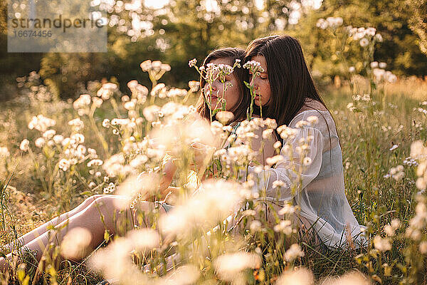 Lesbisches Paar im Gespräch inmitten von Blumen auf einer Sommerwiese