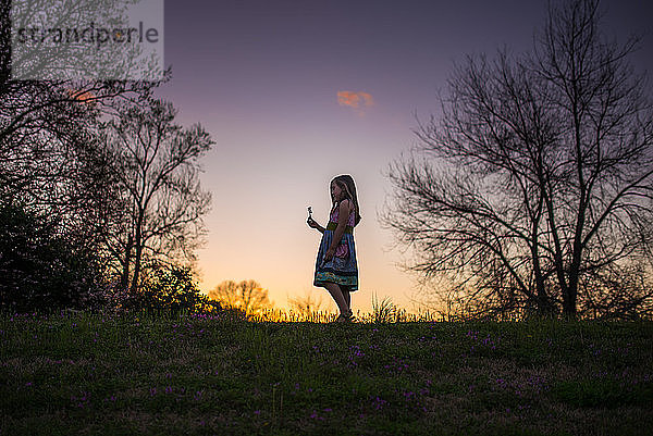 Kleines Mädchen hält Blume silohette lange Haare Sommerabend Sonnenuntergang