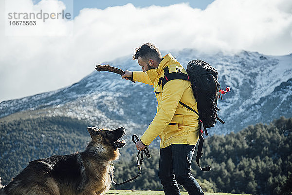 Junger Mann mit gelber Jacke und Rucksack spielt mit Deutschem Schäferhund d