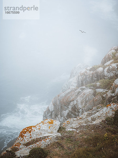 Nebliger Morgen auf einer Insel