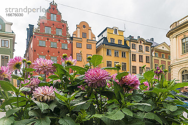 Stortorget in Gamlastan  der alten mittelalterlichen Stadt in Stockholm