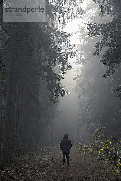 Rückansicht einer Frau in schwarzer Jacke auf einem Weg in einem dunklen  unheimlichen Wald an einem nebligen Morgen  Mittelböhmische Region  Tschechische Republik