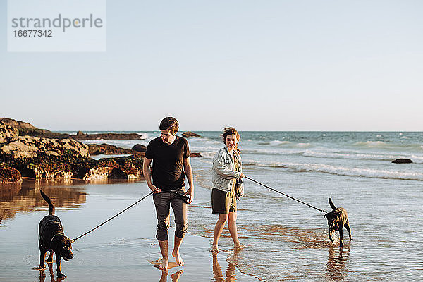 Glückliches Paar mit zwei Labradoren beim Spaziergang am Strand in Portugal