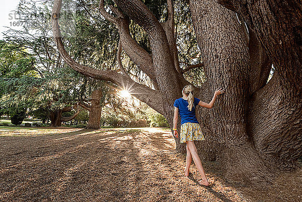 Blondes Mädchen geht um einen großen Baum an einem sonnigen Tag