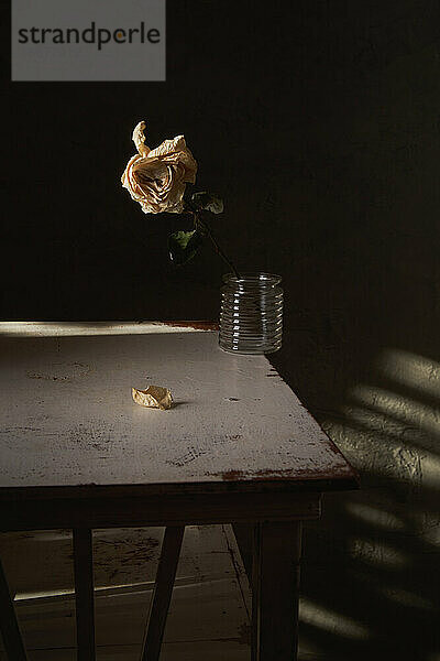 Stilleben mit getrockneten Rosen in einer Vase  die auf der Tischkante steht
