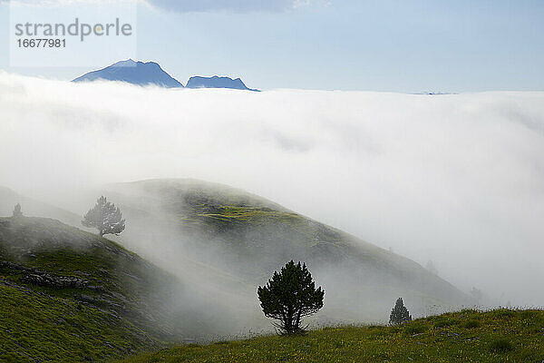 Nebel in Candanchu  Pyrenäen  Canfranc-Tal in Spanien.