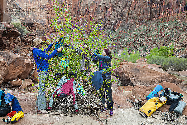 Menschen hängen nasse Kleidung an einen Baum in einem Camp am Escalante River  Utah