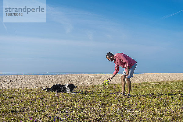 Bärtiger Mann spielt mit Hund am Strand in sonnigen Tag