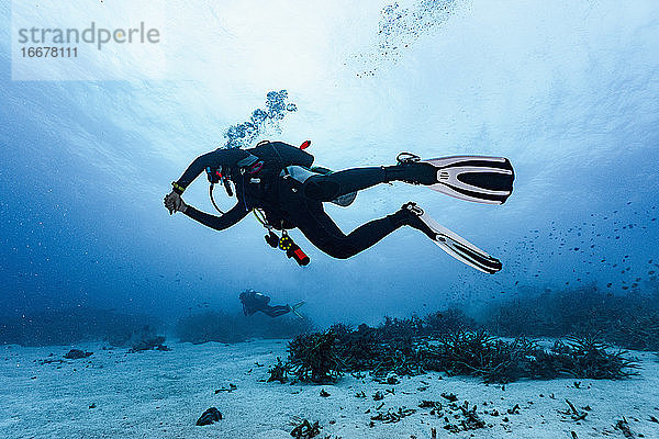 Taucher bei der Erkundung des Great Barrier Reefs