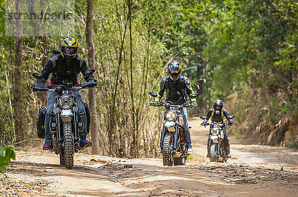 Drei Freunde fahren mit ihren Scrambler-Motorrädern durch den Wald