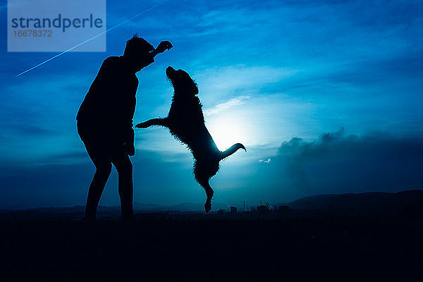 Silhouette eines jungen Mannes mit seinem springenden Hund mit blauem Nachtlicht